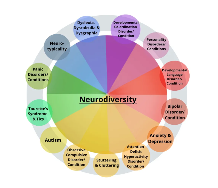 Remember, Autism is just one neurotype or neurodevelopmental phenomenon.